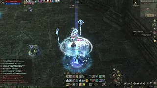 Lineage 2 Eva Templar lvl 82 (PvP)