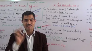 compostion of blood, types of blood cells and serum urdu Hindi by Dr Hadi