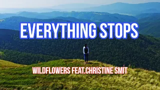 Everything Stops-Wildflowers feat. Christine Smit ( Lyrics Video) Always waiting for you to comeback