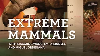 The Curiosity Show Ep.16 Extreme Mammals, with Xiaoming Wang, Emily Lindsey, and Miguel Ordeñana