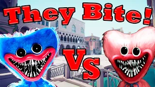 Huggy Wuggy vs Kissy Missy - Totally Accurate Battle Simulator TABS