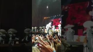 Luis Miguel en concierto Valencia 2018 La Bikina con flores