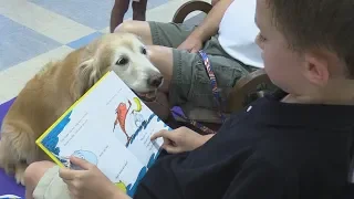 Reading to Therapy Dogs