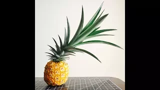 🍍 Grow Pineapple at Home | Root and Re-Grow from Grocery Store Produce Market Fruit | by GemFOX Food