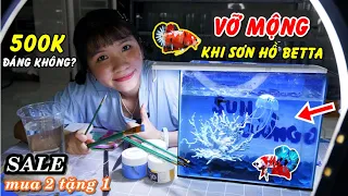 VỠ MỘNG khi làm theo clip sơn hồ cá betta trên Mạng! KHUYẾN MÃI cá BETTA - Mua 2 tặng 1