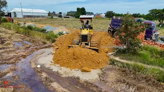 Perfectly New Project Technical Skill Operator Komatsu Dozer Push Soil In Rice Field Of Filling Land