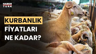 2023 kurbanlık fiyatları: Küçükbaş ve büyükbaş kurbanlık fiyatı ne kadar?