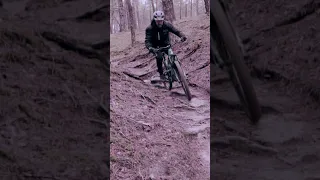 Mountainbike Wurzel Technik