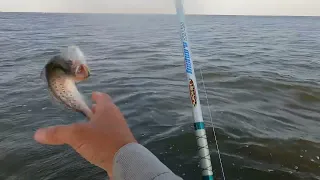 Speckled Trout Fishing In Grand Isle, Louisiana Capt. Kirk and my buddy Tom 5/26/23