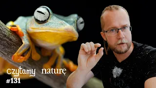 Na glonowej tratwie - Termometr nano - Dlaczego żabki kiepsko skaczą? | Czytamy naturę #131