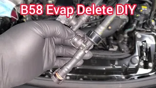 B58 Engine Bay Cleanup - EVAP Line Delete