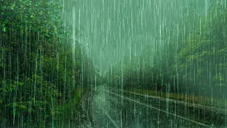 The soft sound of Rain falling on a quiet road outside, White noise perfect for overcoming insomnia