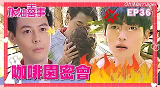 【加油喜事 第一季 EP36 完整版】咖啡園密會 Oh!Marriage! 陳亞蘭 洪都拉斯 王彩樺 李興文 周曉涵 周孝安 鄒承恩 楊晴 臧芮軒 劉育仁