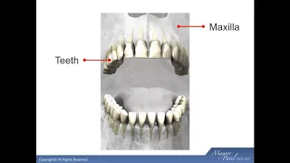 Dental Treatment: Intro to Dental Sleep Medicine Mar 21, 2018