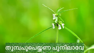 Thumbapoo Peyyana Poonilave ||തുമ്പപ്പൂപെയ്യണ പൂനിലാവേ ||രണ്ടിടങ്ങഴി