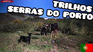 TRILHOS Serras do Porto |  Valongo - Porto - Portugal