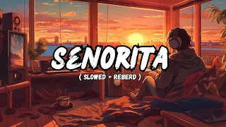 Shawn Mendes, Camila Cabello - Señorita (slowed + reverb)