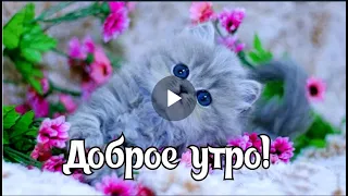 ДОБРОЕ УТРО! ПРЕКРАСНОГО ДНЯ! КРАСИВАЯ МУЗЫКАЛЬНАЯ ОТКРЫТКА С ДОБРЫМ УТРОМ!