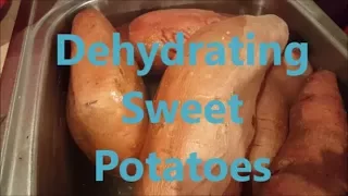 Dehydrating Sweet Potatoes