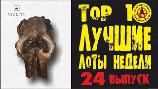 ЛУЧШИЕ ЛОТЫ НЕДЕЛИ С АУКЦИОНА ВИОЛИТИ! Клад серебра, череп мамонта, зубы кашалота! ТОП 10 Выпуск#24