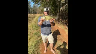 Quick bass session in mpumalanga South Africa