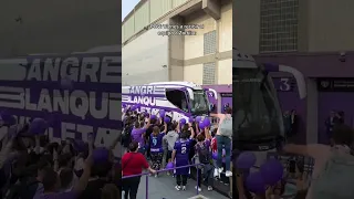 💜 ¡ASÍ FUE EL ÚLTIMO RECIBIMIENTO EN EL JOSÉ ZORRILLA! ¡GRACIAS, AFICIÓN!