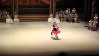 Don Quixote PDD (Natalia Osipova - Ivan Vasiliev) - Palais Garnier, May 10th, 2011