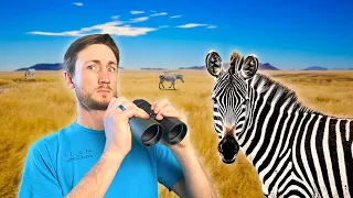 Wild Zebras in the United States? Unbelievably True Facts About the US
