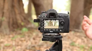 Nikon D7100 - Issues with the aperture in live view demo