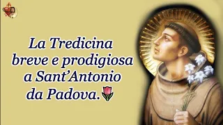 La Tredicina breve e prodigiosa a Sant’Antonio da Padova