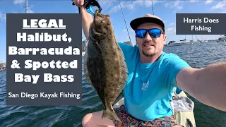 22" LEGAL Halibut, Barracuda & Spotted Bay Bass | San Diego Kayak Fishing | 05/17/24 #fishing #fish