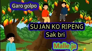 Sujan na ripeng sak bri te.gat chu chana onja | garo  cartoon  Video || Garo golpo