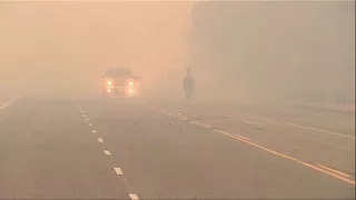 Raw: Horse On Highway Flees California Wildfires