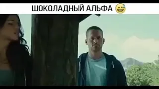 Шоколадный альфа😂