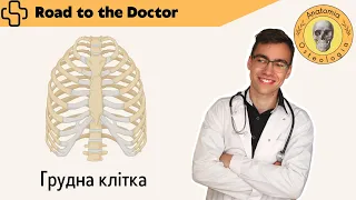 Кістки грудної клітки