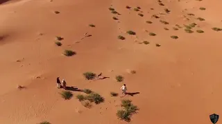 Caza de liebres con galgos en el desierto