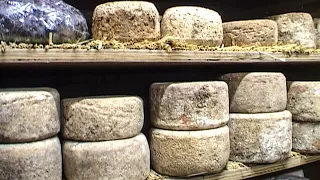 La tome de Savoie, le fromage aux mille recettes