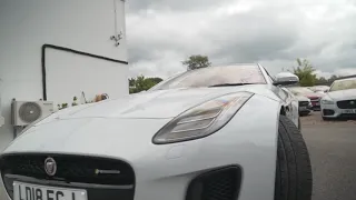 Jaguar 😺