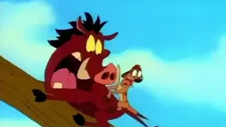 Disney's Timon & Pumbaa Intro(Disney-ABC)Ukrainian Intro(NaQis&FriendsUSA/HiT)(1995-1999)