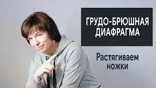 #305 Грудобрюшная диафрагма. Растягиваем ножки диафрагмы.