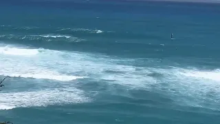 Windsurfing Hurricane Hector Swell,  Honolulu, Hawaii