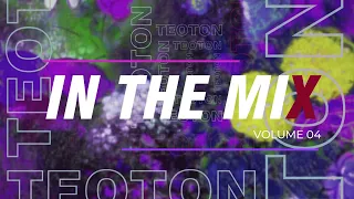 TeoTon in the miX Vol. 04