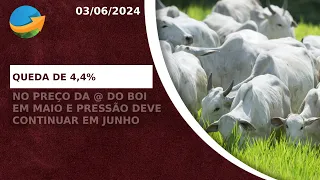 Arroba do boi fecha maio com queda de 4,4% e pressão deve continuar ao longo da primeira quinzena...