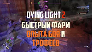 Быстрый фарм опыта боя, трофеев и денег у Метро Dying Light 2 Stay Human Гайд #9