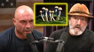 How Paul Stamets STOPPED Stuttering | Joe Rogan Experience