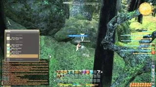 FFXIV:ARR OST - Greenwrath (Black Shroud)