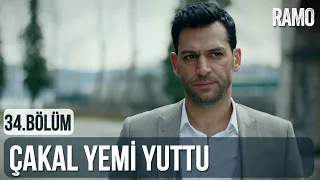 Çakal Yemi Yuttu | Ramo 34.Bölüm