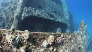 Wreck of the Giannis D in the Red Sea