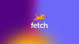 Why Fetch Rocks