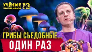 Топ-5 опасных мифов о грибах. Сергей Волобуев. Учёные против мифов 13-3